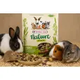 Додатковий корм для гризунів Versele-Laga Nature Snack Fibres 500 г