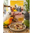 Додатковий корм для великих папуг Versele-Laga Prestige Premium Exotic Fruit ласощі з тропічними фруктами 750 г