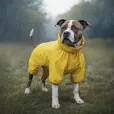 Дощовик для собак WAUDOG Clothes водонепроникний L50 жовтий