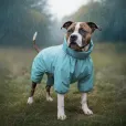 Дощовик для собак WAUDOG Clothes водонепроникний M47 блакитний