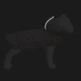Дощовик-накидка для собак WAUDOG Clothes"Авокадо на рожевому" з капюшоном XXS