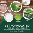 Ензимна зубна паста-гель VET`S BEST Dental Gel Toothpaste для догляду за зубами і ротовою порожиною собак 103 мл