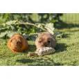 Іграшка для гризунів Trixie Grass Toy морква з трави 20 см