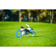 Іграшка для собак PitchDog Кільце для апортировки блакитне діаметр 17 см