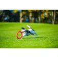 Іграшка для собак PitchDog Кільце для апортировки помаранчеве діаметр 17 см