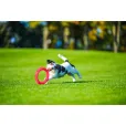 Іграшка для собак PitchDog Кільце для апортировки рожеве діаметр 17 см