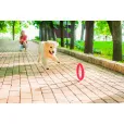Іграшка для собак PitchDog Кільце для апортировки рожеве діаметр 17 см
