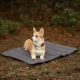 Килимок для прогулянок Harley&Cho Travel roll up mat Gray L сірий 110*75 см