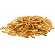 Ласощі для гризунів Trixie Mealworms Борошняний хробак 70 г