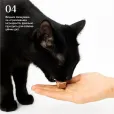 Ласощі для котів Cosset Ліофілізована яловича печінка 40г