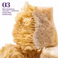 Ласощі для котів Cosset Ліофілізований яловичий шлунок 40г