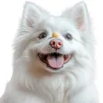 Ласощі для собак WAUDOG Treats Cheese Balls Хрусткі сирні кульки 30 г