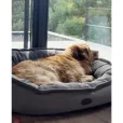 Лежак овальний Harley&Cho Donut Soft Touch Gray L сірий 90*70 см