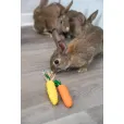 Набір солом'яних іграшок для гризунів Trixie Set of Straw Toys морква і кукурудза 2 шт 15 см