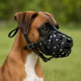 Намордник для собак CoLLaR твердий шкіряний №1 33*5 см чорний