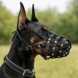 Намордник для собак CoLLaR твердий шкіряний №5 32*11 см чорний