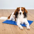 Охолоджувальна підстилка Trixie Cooling Mat S синя 40*30 см