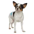 Підгузки Croci Dog Nappy для собак S 30-39 см 14 шт