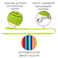 Повідець для собак WAUDOG Glamour шкіряний XS-S 1.2*122 см салатовий