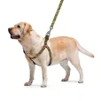 Повідець для собак WAUDOG  Nylon "Мілітарі" нейлоновий M 2*122 см