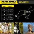 Шлея для собак Croci Hiking Reflective м'яка XS синя