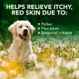 Спрей для собак VET`S BEST Allergy Itch Relief Spray при алергії для чутливої шкіри 236 мл