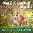 Спрей від бліх і кліщів TropiClean Flea & Tick "Максимальна сила" для собак 473 мл