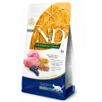 Сухий корм для дорослих котів Farmina N&D Ancestral Grain Adult Lamb & Blueberry з ягням, спельтою та лохиною 300 г