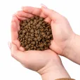 Сухий корм для дорослих собак малих порід Nature's Protection Dog Mini Extra Salmon з лососем 500 г