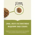 Сухой корм для взрослых собак крупных пород Acana Adult Large Breed со свежей курицей 11,4 кг