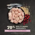Сухий корм для кошенят Acana First Feast Kitten з куркою та оселедцем 340 г