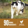 Сухий корм для котів Orijen Original з куркою, індичкою та рибою 340 г