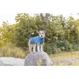 Светр в'язаний для собак Trixie "Norwood" XS 24 см синьо-сірий