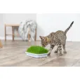 Трава для кошенят Trixie Soft Grass Набір для самостійного вирощування 100 г