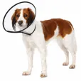 Ветеринарний комір Trixie Protective Collar пластиковий на липучці для котів і собак S-M 30-37 см / 14 см