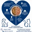 Вологий корм для дорослих собак Monge Fresh Dog Adult Tuna Паштет з тунцем 100 г