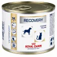 Вологий корм для дорослих собак та котів Royal Canin Recovery в період відновлення після хвороби, мус 195 г