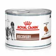 Вологий корм для дорослих собак та котів Royal Canin Recovery в період відновлення після хвороби, мус 195 г
