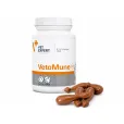 Харчова добавка Vet Expert VetoMune для підтримання імунітету у котів і собак 60 капс.