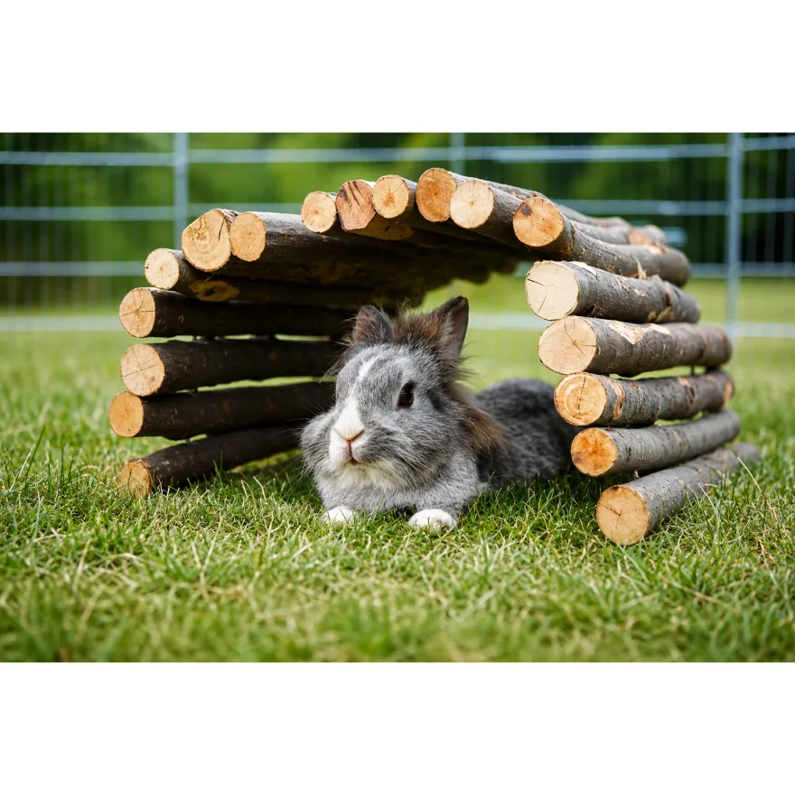 Дерев'яний міст для гризунів Trixie 22*10 см