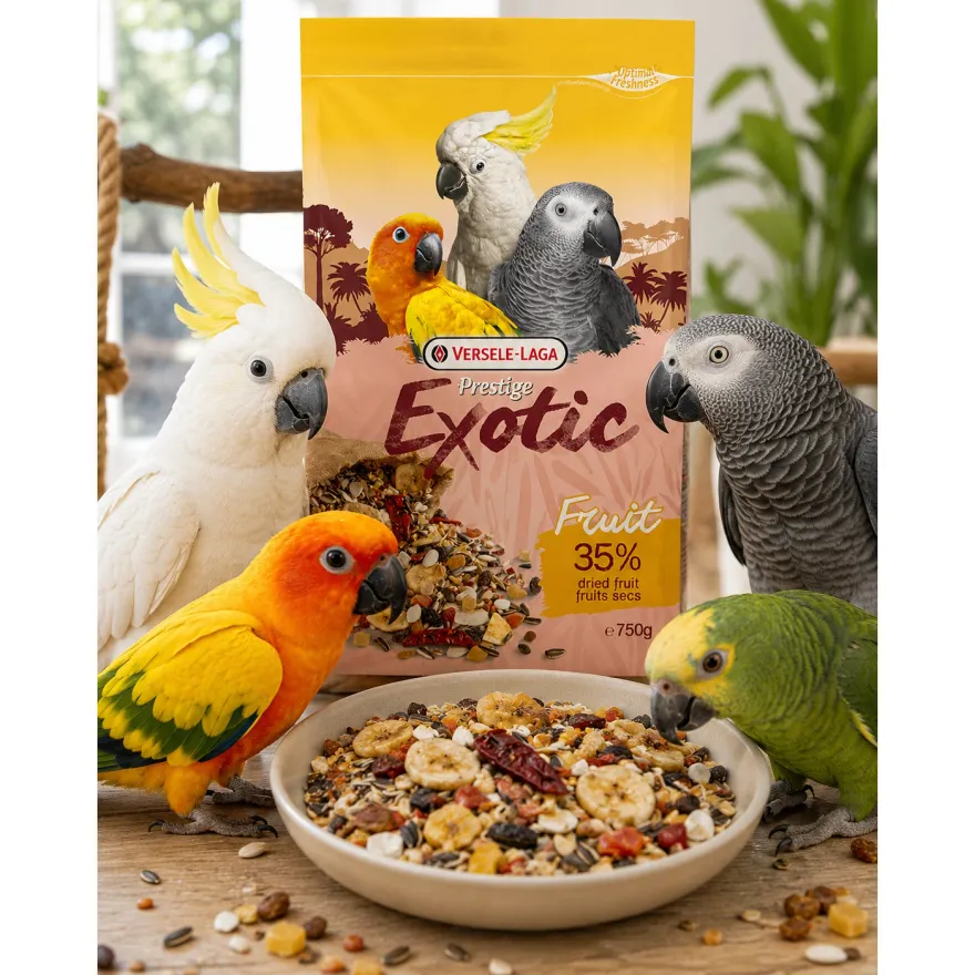 Додатковий корм для великих папуг Versele-Laga Prestige Premium Exotic Fruit ласощі з тропічними фруктами 750 г