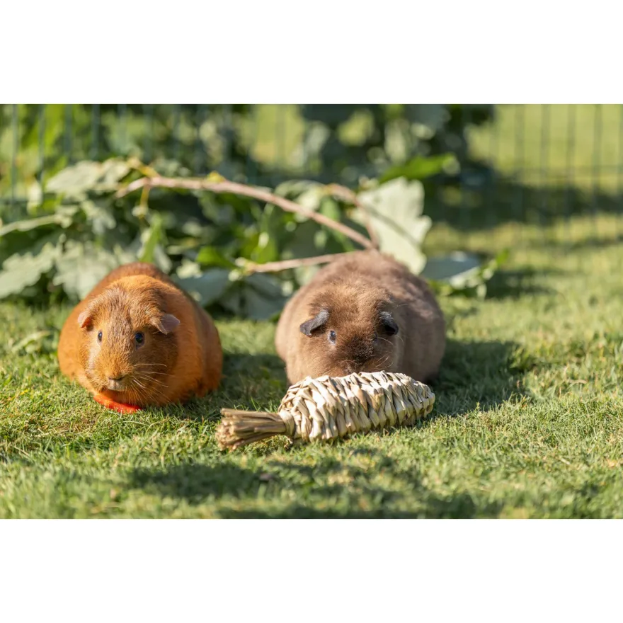 Іграшка для гризунів Trixie Grass Toy морква з трави 20 см