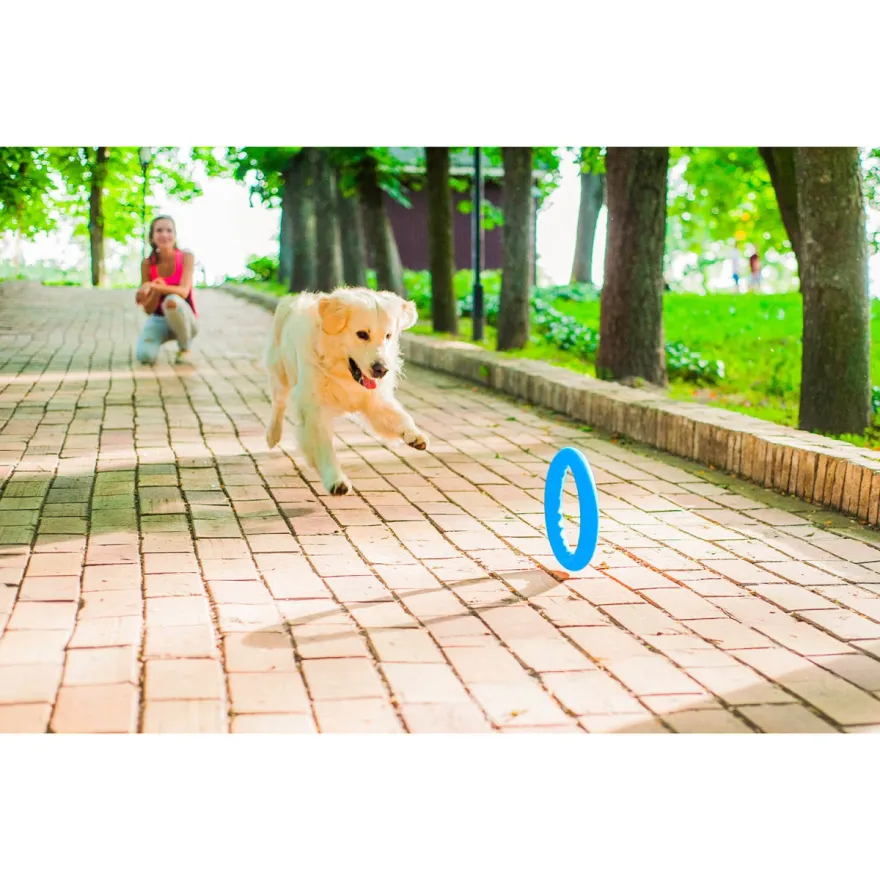 Іграшка для собак PitchDog Кільце для апортировки блакитне діаметр 17 см