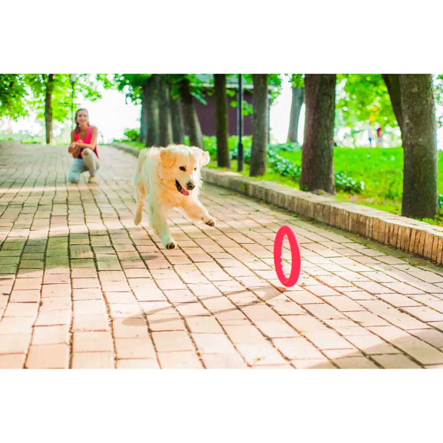 Іграшка для собак PitchDog Кільце для апортировки рожеве діаметр 17 см