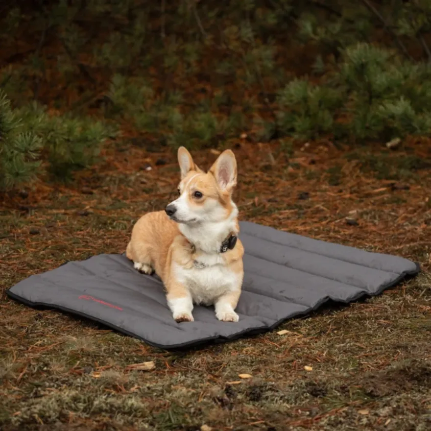 Килимок для прогулянок Harley&Cho Travel roll up mat Gray L сірий 110*75 см
