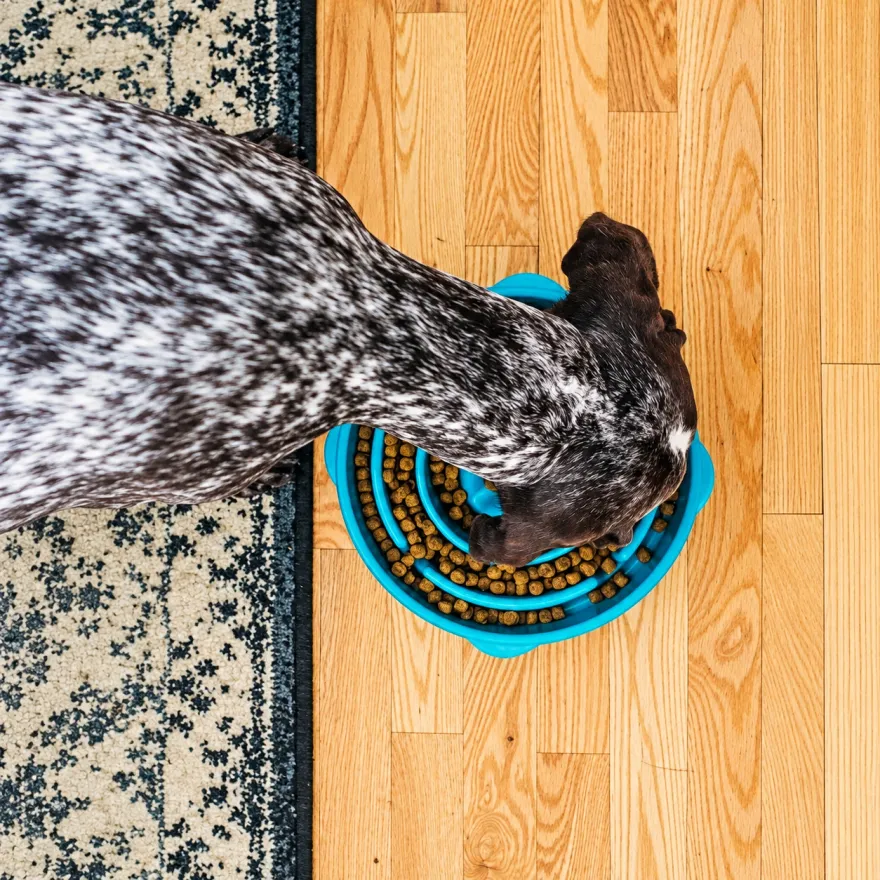 Миска для повільного харчування Outward Hound Fun Feeder Drop велика бірюзова 27,5 см