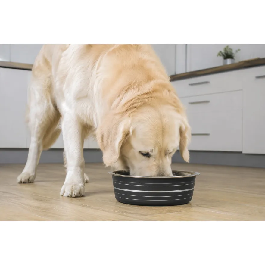 Миска для собак Agility чорна 1,5 л