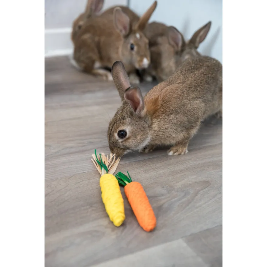 Набір солом'яних іграшок для гризунів Trixie Set of Straw Toys морква і кукурудза 2 шт 15 см