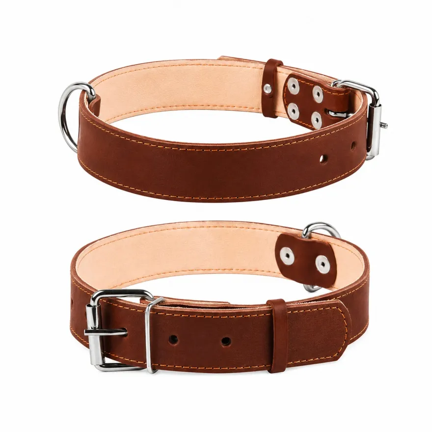 Нашийник для собак CoLLaR шкіряний подвійний XS 27-35 см / 14мм коричневий