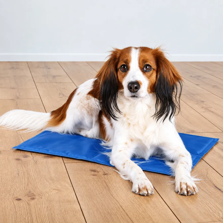 Охолоджувальна підстилка Trixie Cooling Mat S синя 40*30 см